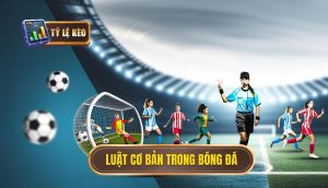 luật cơ bản trong bóng đá